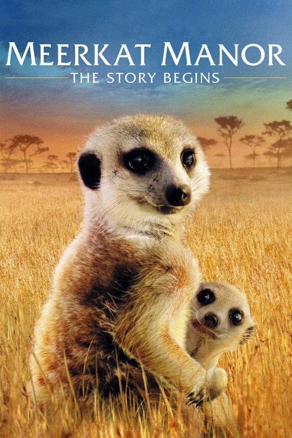 Постер Meerkat Manor: The Story Begins